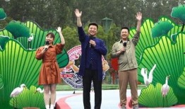 广西土地爆料最新消息视频,最新视频揭露土地使用现状与争议