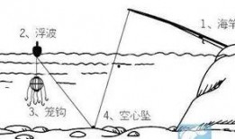 爆料鲢鳙钓法图解视频